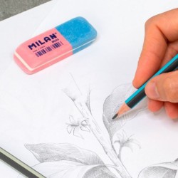 Gomme BR 20 2 usages Milan