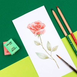 Gomme blanche fantaisie forme de livre