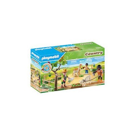 Randonneurs et alpagas