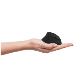 Mini souris ss fil ergo verticale et rechargeable noir ERGO LINE