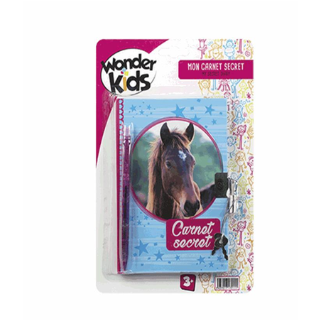 CARNET SECRET CADENA STYLO