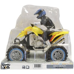 MAXI QUAD+PILOTE FR 20CM