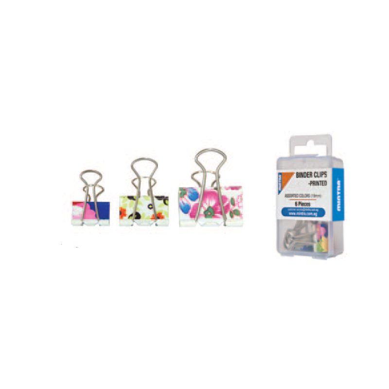 Pince double clip 32mm coul ass av motif bte 2pcs MINTRA