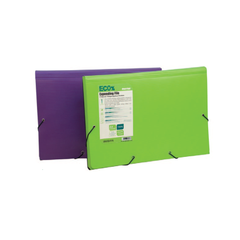 Boite de classement à élastique et 5onglets PP MINTRA