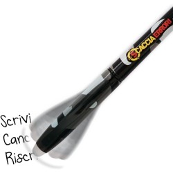 Stylo à bille pointe 0.7 éffaçable GOODY blist de 2 MITAMA