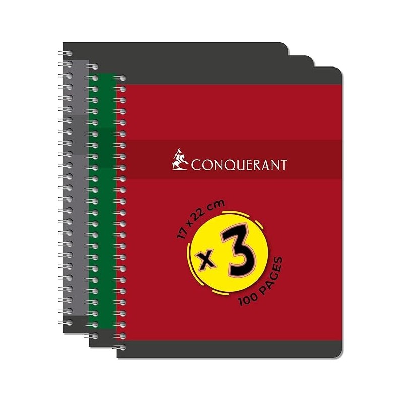 Cahier 17x22 100p 90g 5x5 reliure int. couv PP Conquérant