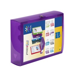 Boîte de classement Translucide dos 80 Propyglass Viquel