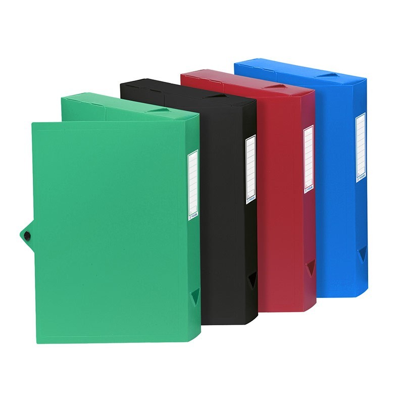 Boite de classement Polypro  A4 Dos 4,5 cm DEDALE VIQUEL