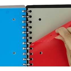 Cahier trieur (Organiserbook) 24x31 160p intégrale 5/5 Oxford