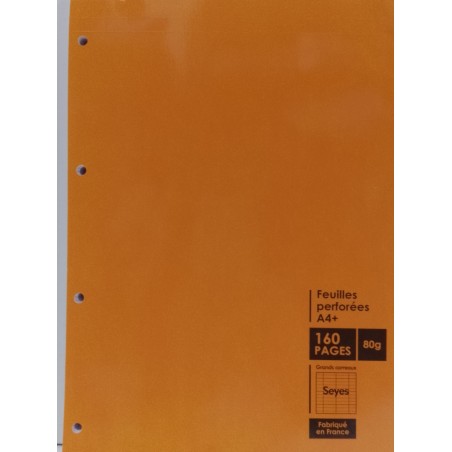 Bloc aldi agrafe et 4 trous 210x315 160p 80g seyes