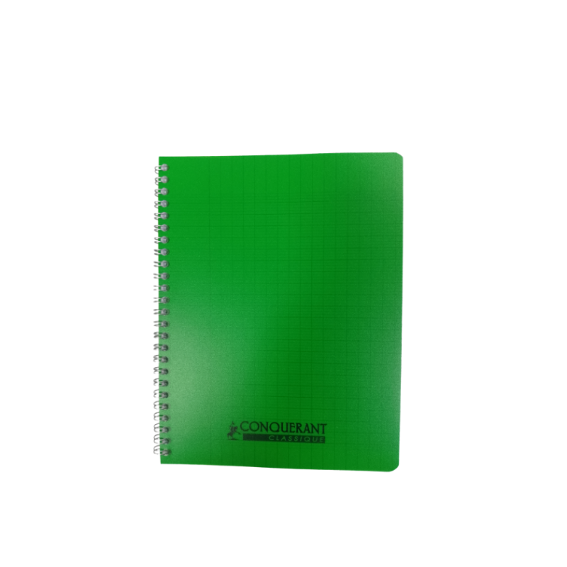 Cahier 17x22 seyes 100p reliure Intégrale assorti 90g