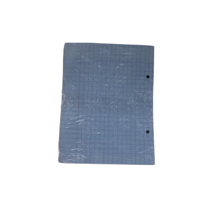 Feuille mobile 17x22 Seyes couleur 100p Conquérant