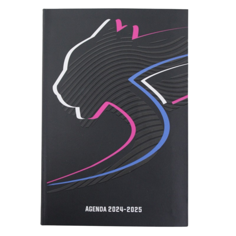 Agenda scolaire 1 jour par page airness 12x17 352p 24-25 assorti francais