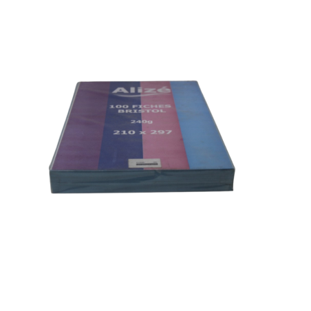 Fiche bristol 21x29.7 5x5 couleur 240g Alizé