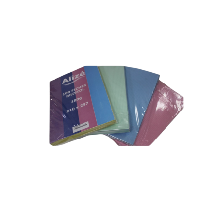 Fiche bristol 21x29.7 5x5 couleur 180g Alizé