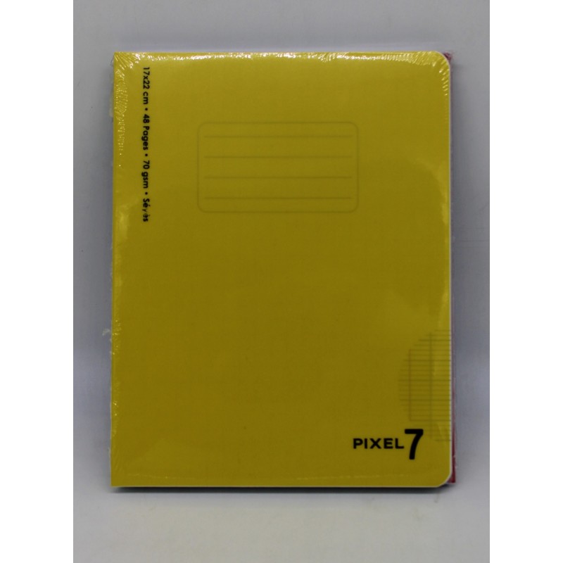 Cahier 17x22 seyes 70g 48p couv PP Mintra