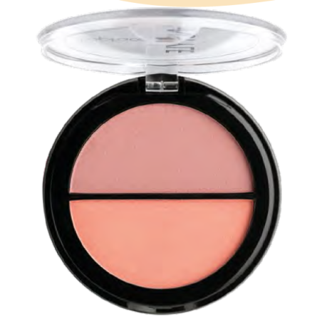 Duo blush Instyle Topface PT353
