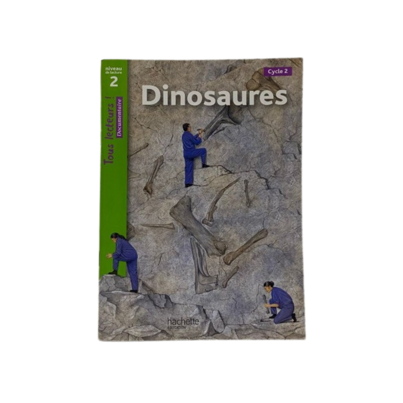 Niveau 2 - Dinosaures