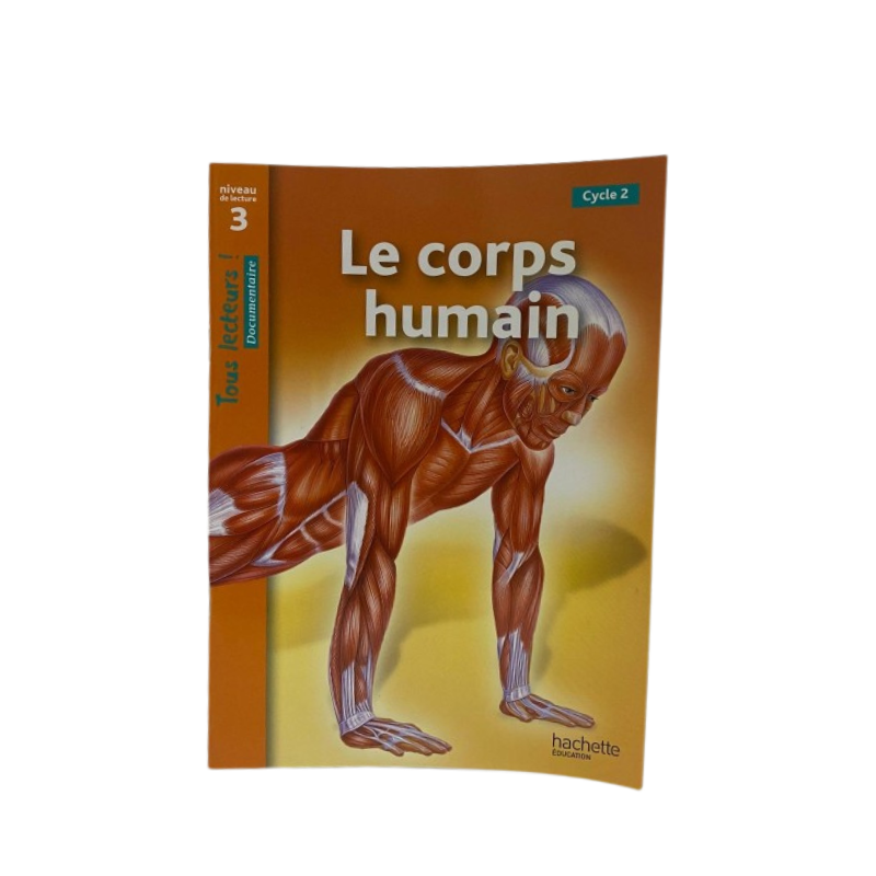 Niveau 3 - Le corps humain