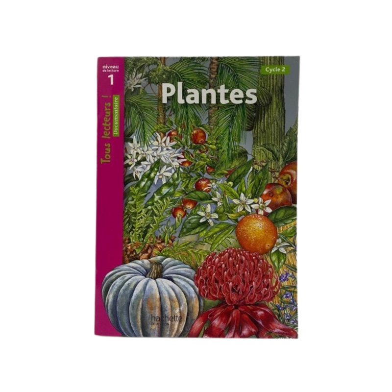 Niveau 1 - Plantes