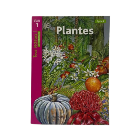 Niveau 1 - Plantes