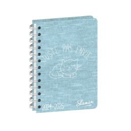 Textagenda Shaman QUO VADIS