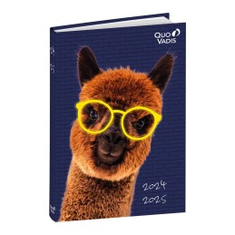 Agenda scolaire 24-25 ML Potes 12x17cm QUOVADIS