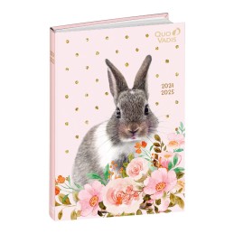 Agenda scolaire 24-25 ML Potes 12x17cm QUOVADIS