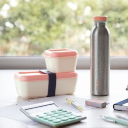 Gourde isotherme 591ml SILVER Milan