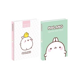 Agenda scolaire MOLANG mi-08-25 au mi -08-26 VIQUEL