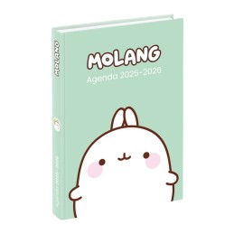 Agenda scolaire MOLANG mi-08-25 au mi -08-26 VIQUEL