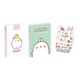 Agenda scolaire MOLANG mi-08-25 au mi -08-26 VIQUEL