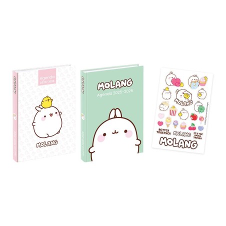Agenda scolaire MOLANG mi-08-25 au mi -08-26 VIQUEL