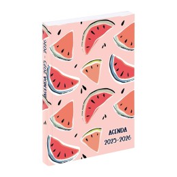 Agenda scolaire JUICY mi-08-25 au mi -07-26 VIQUEL