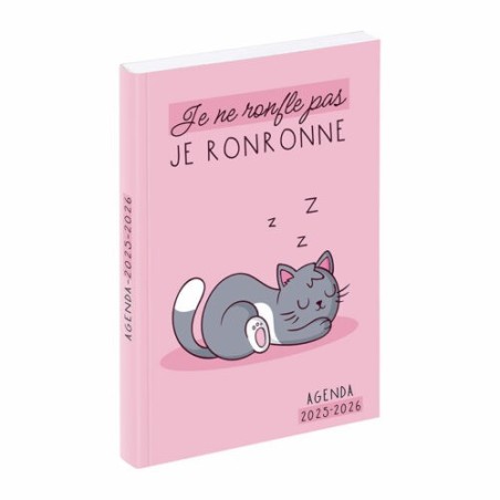 Agenda scolaire HUMOUR mi-08-25 au mi -07-26 VIQUEL