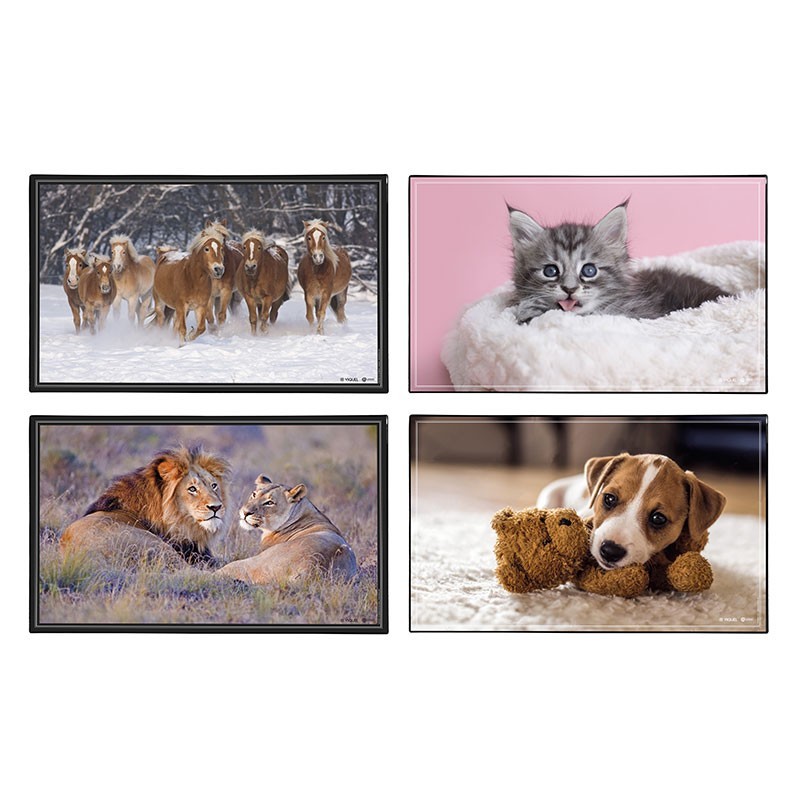 Sous main animaux 4 visuels PVC VIQUEL