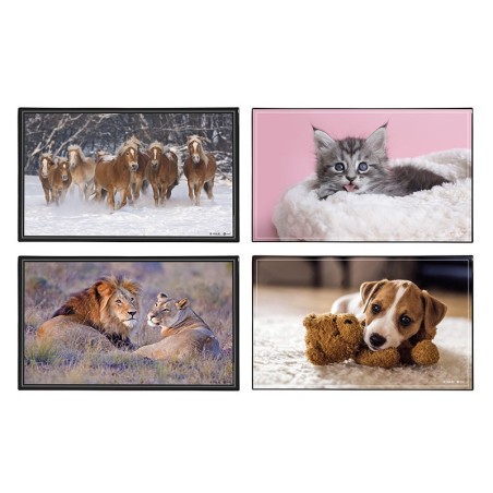 Sous main animaux 4 visuels PVC VIQUEL