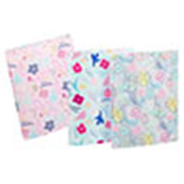 Classeur souple 2 Anneaux A4 dos 2,5cm PP BLOSSOM VIQUEL