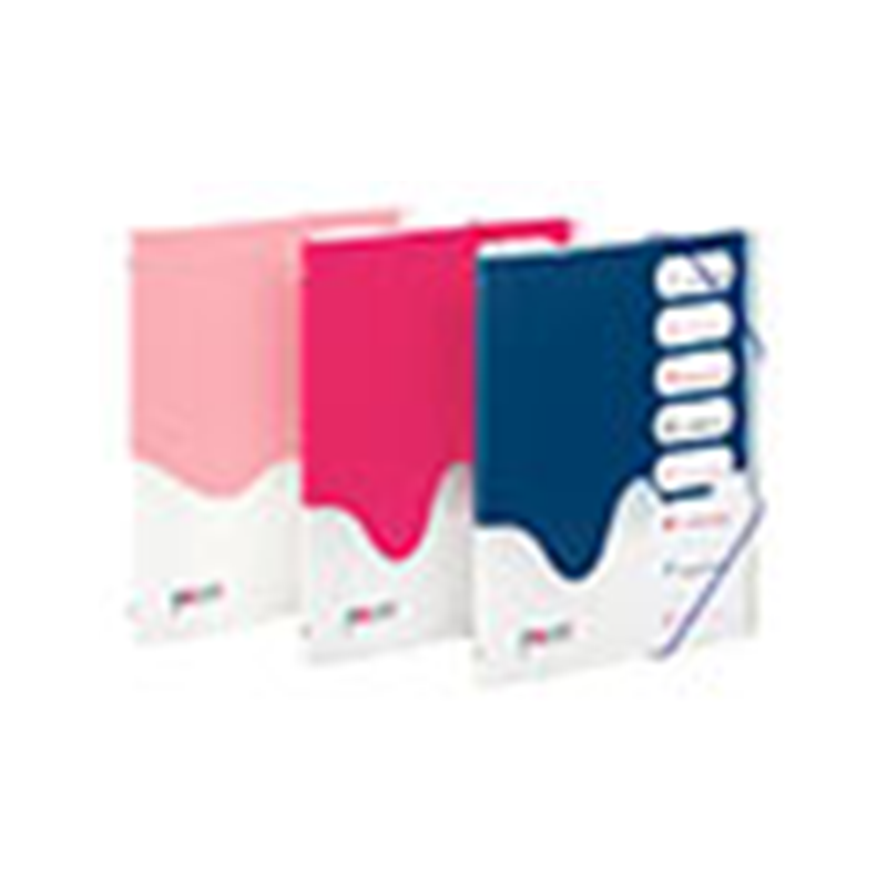 Trieur 8 compartiments A4 polypropylène PAINT VIQUEL