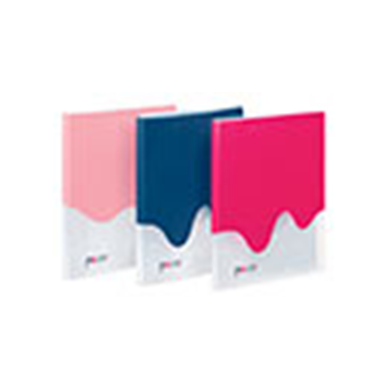 Porte vues 40 vues A4 PP - PAINT VIQUEL