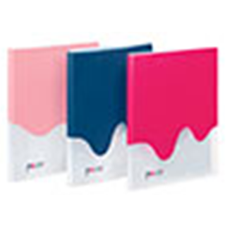 Porte vues 40 vues A4 PP - PAINT VIQUEL