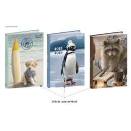 Agenda 4C - Mignons 2025-2026 QUO-VADIS