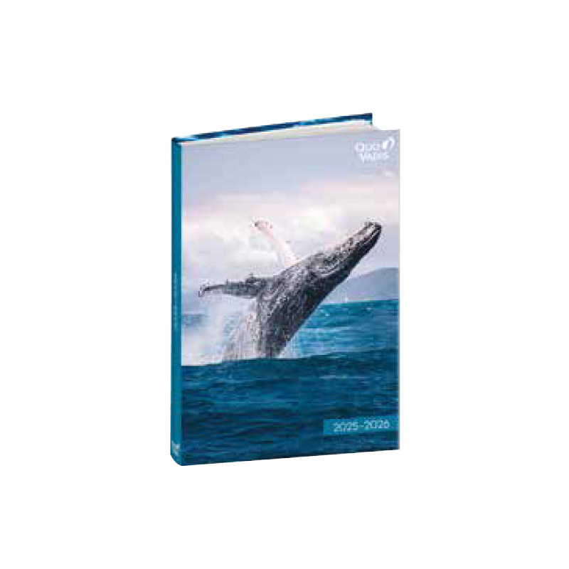 Agenda 4C - Sauvages 2025-2026 QUO-VADIS