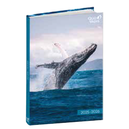 Agenda 4C - Sauvages 2025-2026 QUO-VADIS