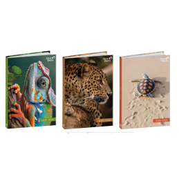 Agenda 4C - Sauvages 2025-2026 QUO-VADIS