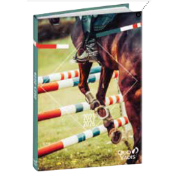 Agenda 4C - ONE WAY 2025-2026 QUO-VADIS