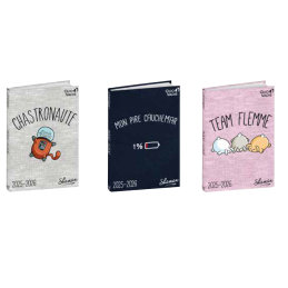 Agenda 4C - SHAMAN 2025-2026 QUO-VADIS