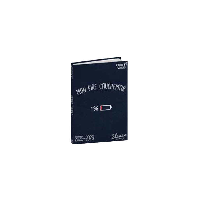 Agenda 4C - SHAMAN 2025-2026 QUO-VADIS