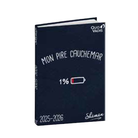 Agenda 4C - SHAMAN 2025-2026 QUO-VADIS