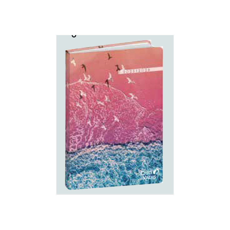 Agenda R 1C - Dauphin, Neige et Oiseaux RESPIRE 2025-2026 QUO-VADIS